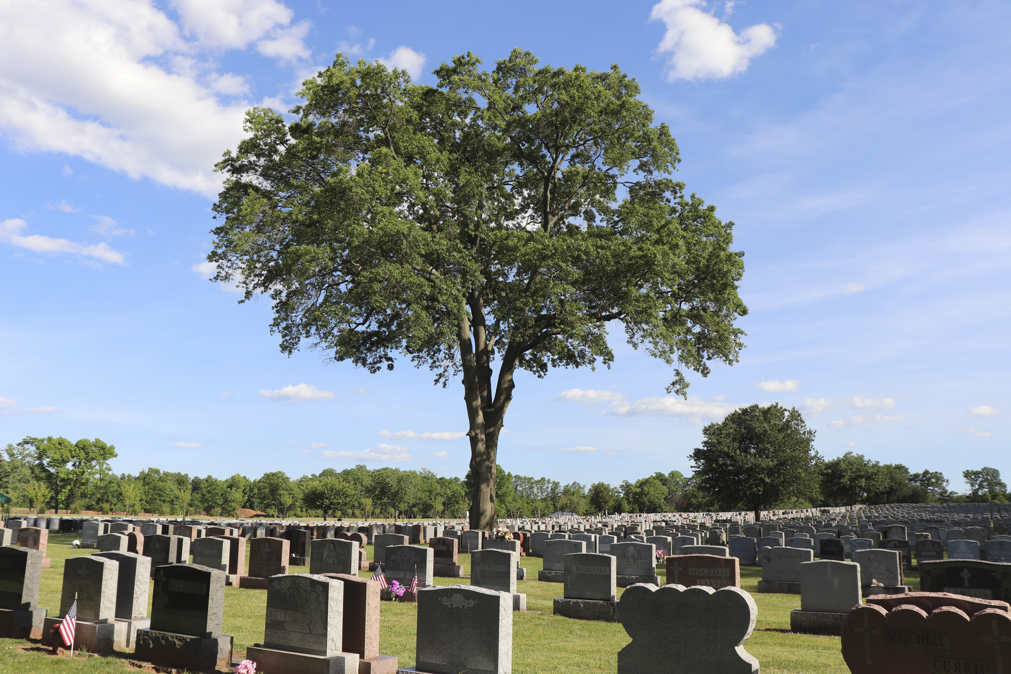 Catholic Cemeteries – We Remember – We Believe!