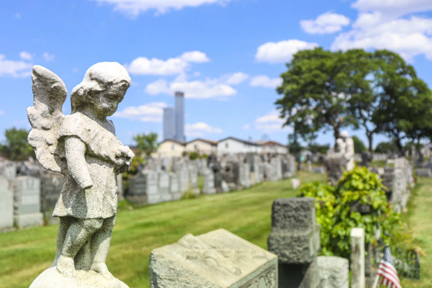 holy-name-cemetery-mausoleum-catholic-cemeteries